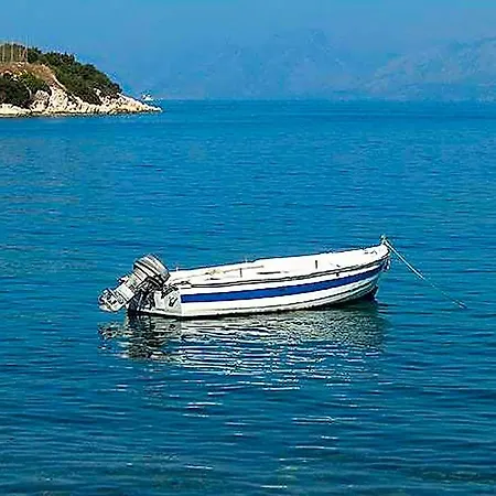 Dimitrios カシオピ